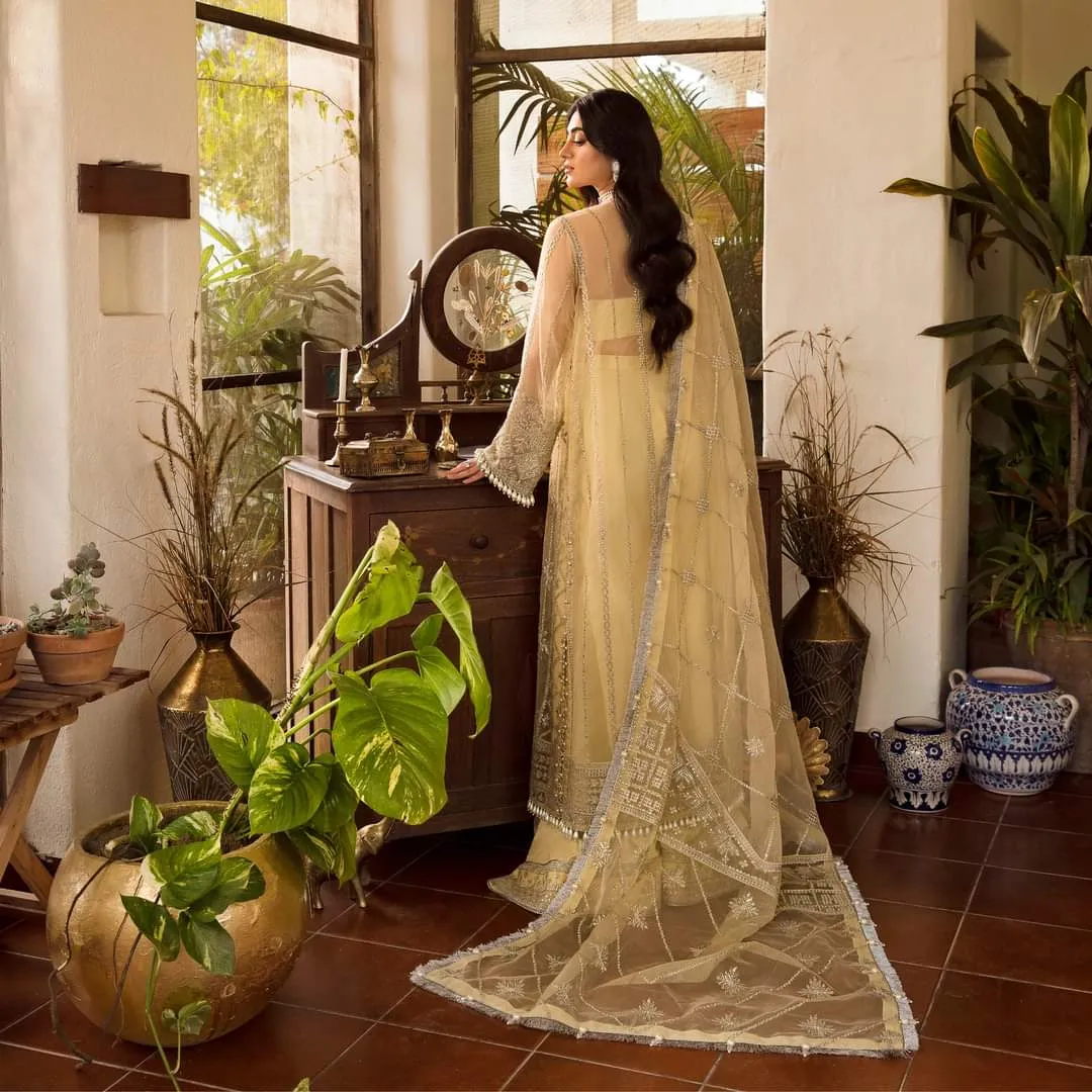 Ayzel by Afrozeh | Meharbano | Lyra | AZ-V3-01
