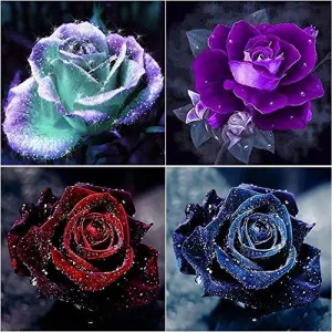 Beautiful Roses 5D DIY Diamond Painting by Numbers Diamond Art Kits Set of 4
