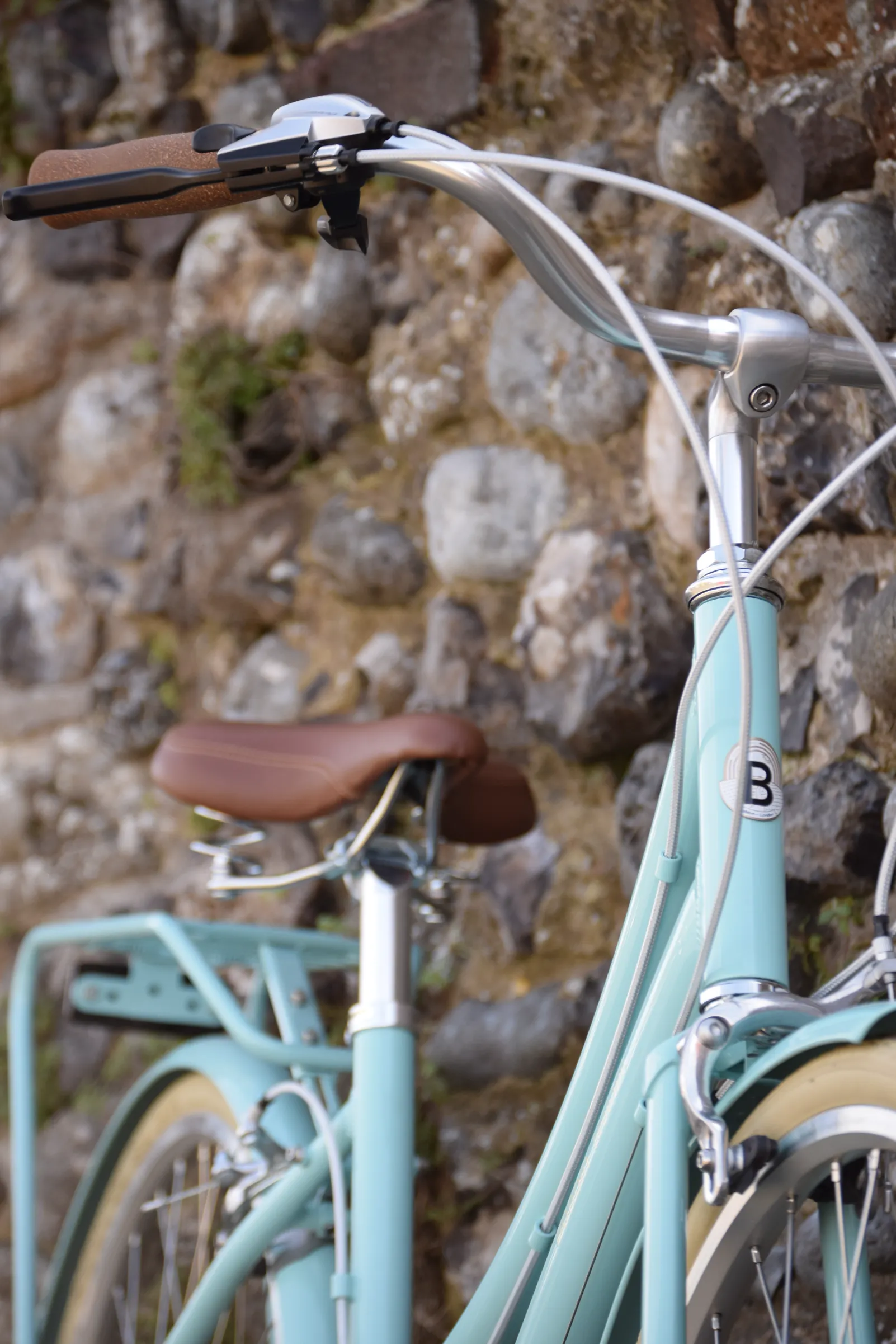 Brownie 7 Dutch Bike