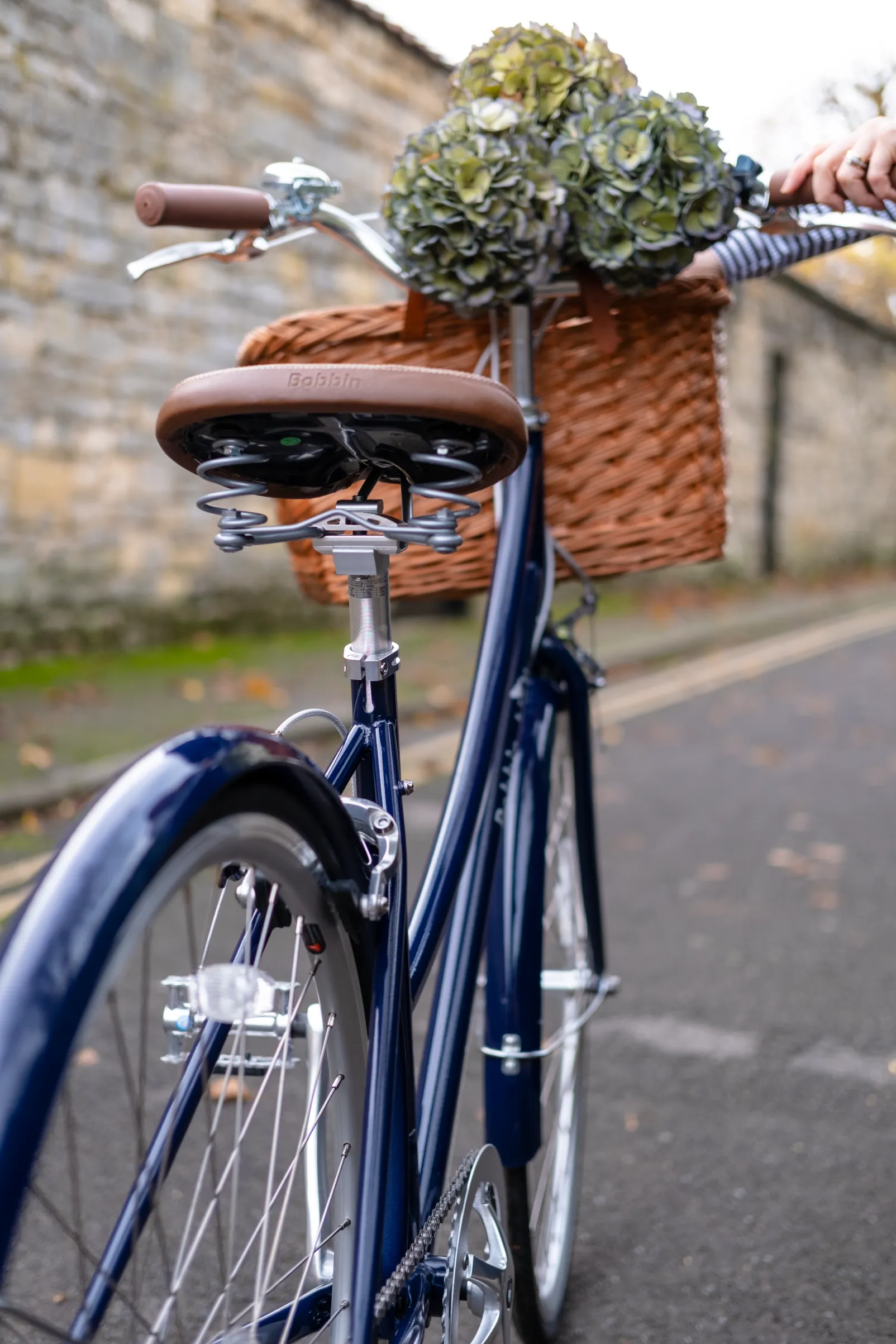 Brownie 7 Dutch Bike