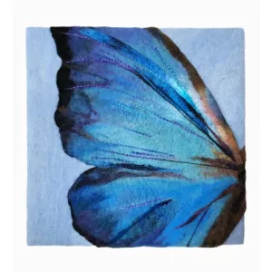 Close-Up: Morpho Butterfly