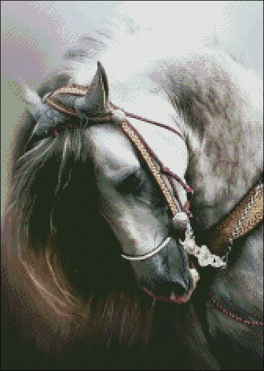 DIY Set  Andalusian Horse Embroidery Counted Cross Stitch Kits 14 ct DMC color