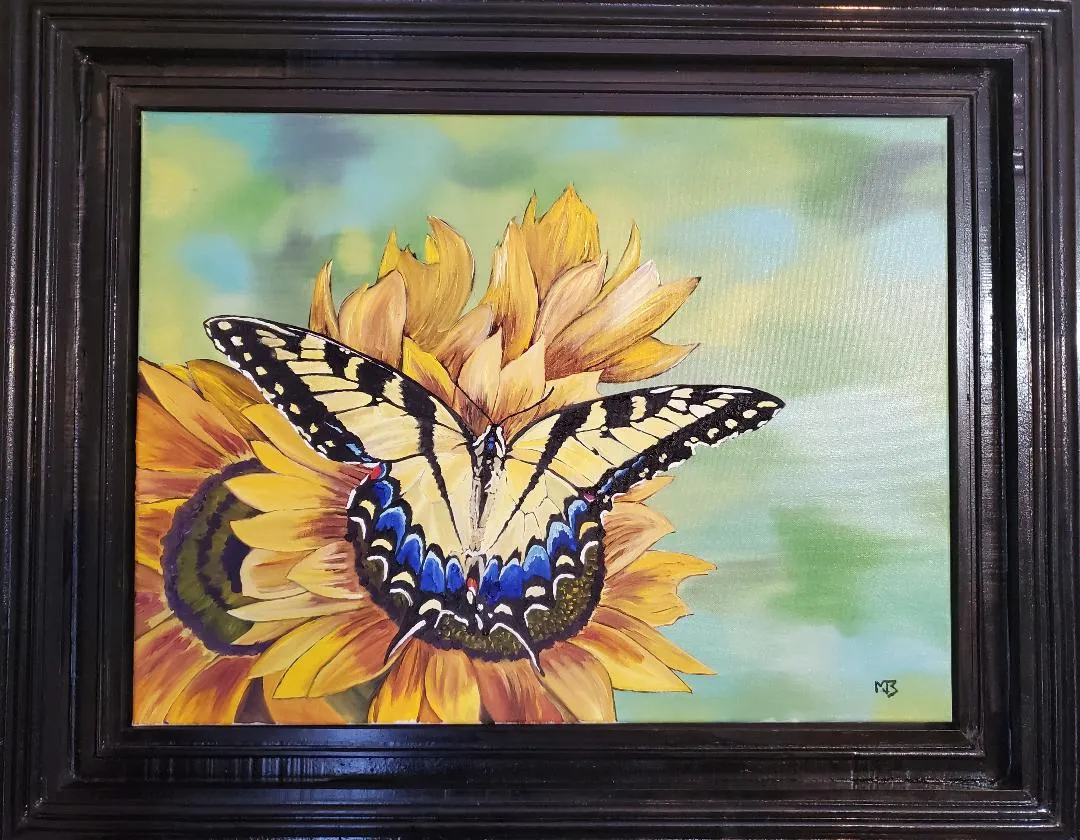 Eastern (Tiger) Swallowtail Butterfly on Sunflowers