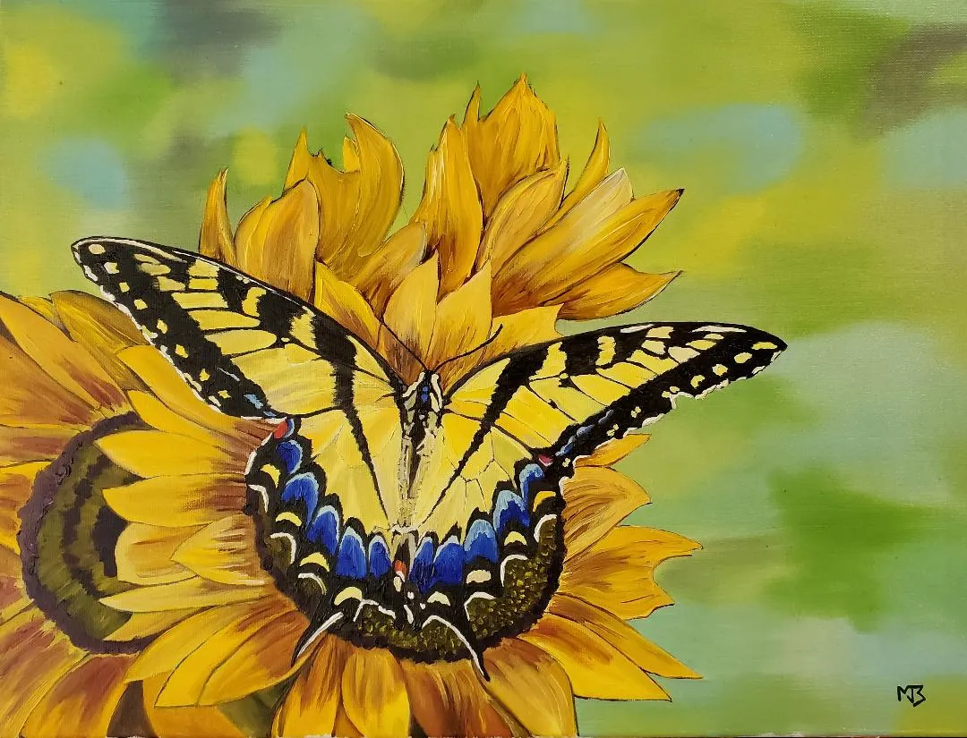 Eastern (Tiger) Swallowtail Butterfly on Sunflowers