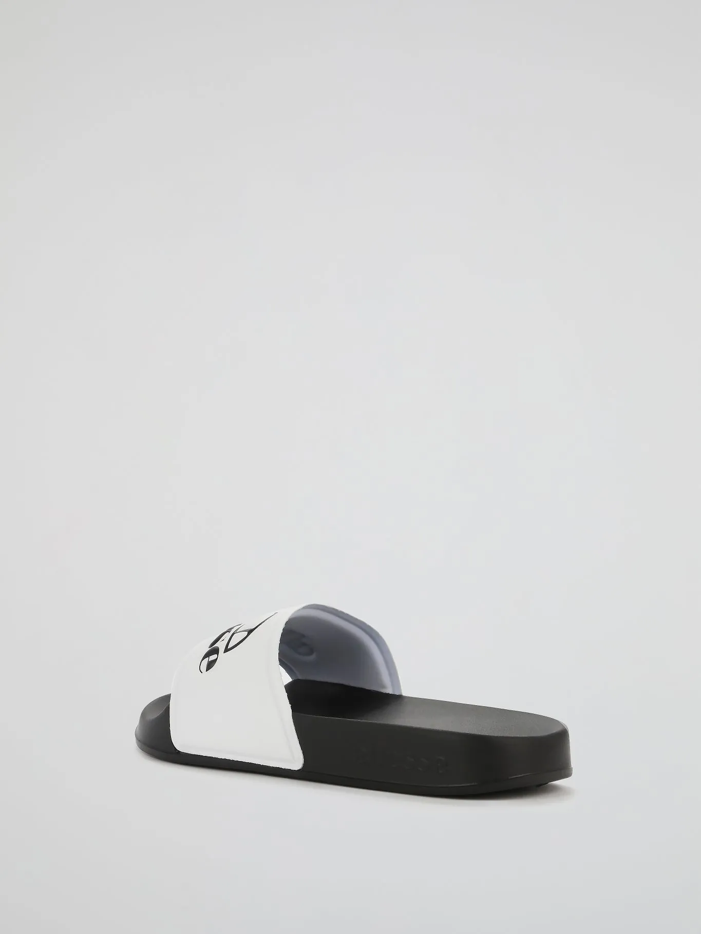 Filippo Contrast Logo Slides