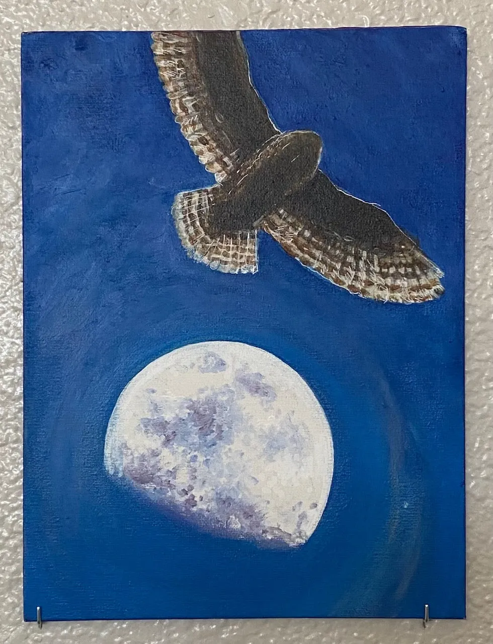 FLY: Leah Yael Levy: Soaring Owl