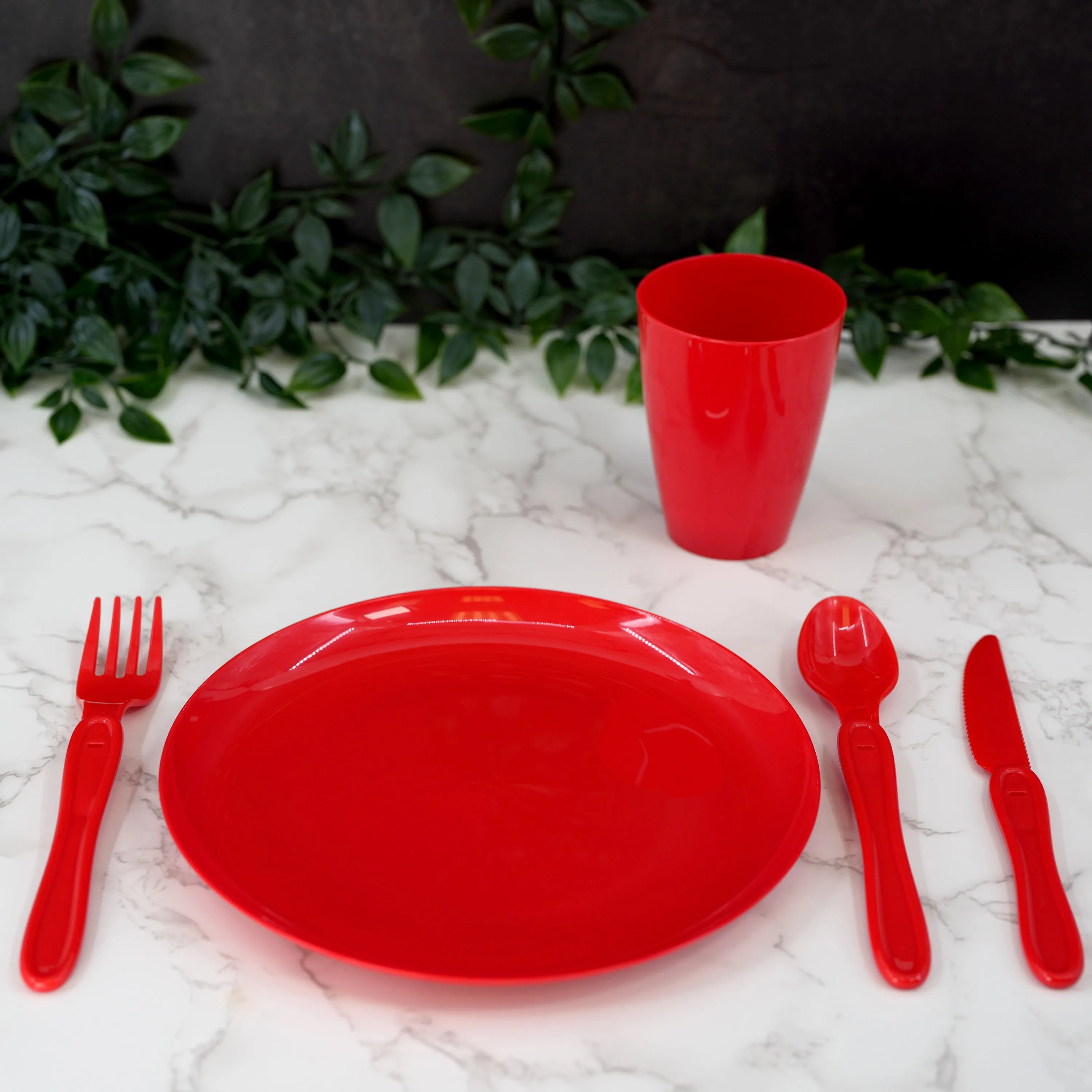 Large Picnic Set With Storage Box For Four - 21 Pieces