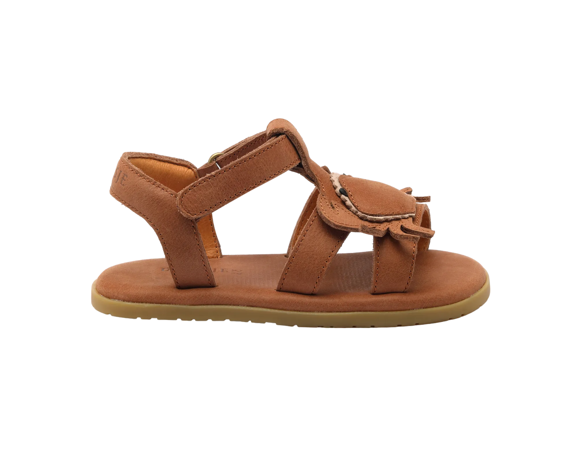 Lee Sea | Crab | Walnut Leather