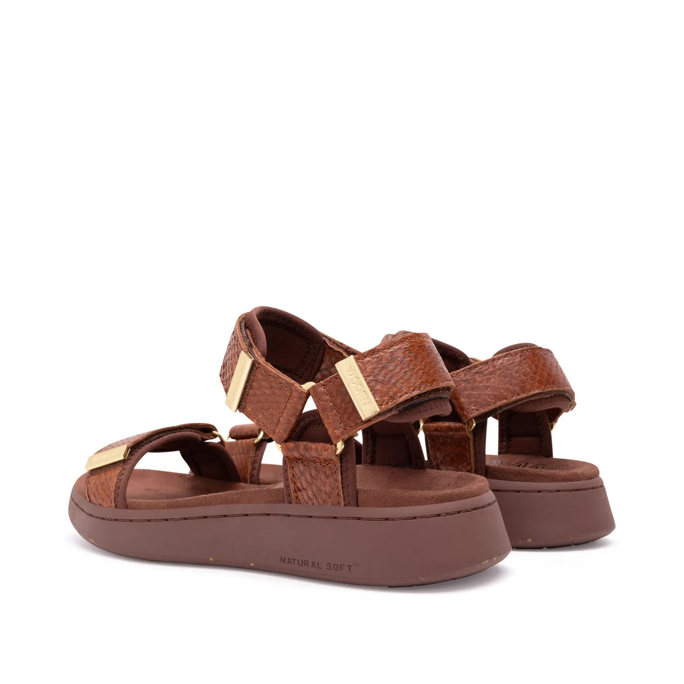 Line Fish - Brown