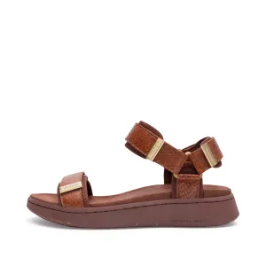 Line Fish - Brown