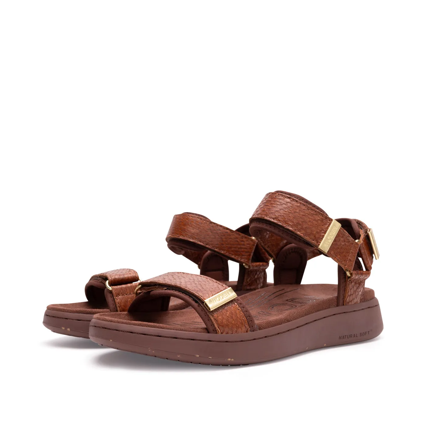 Line Fish - Brown