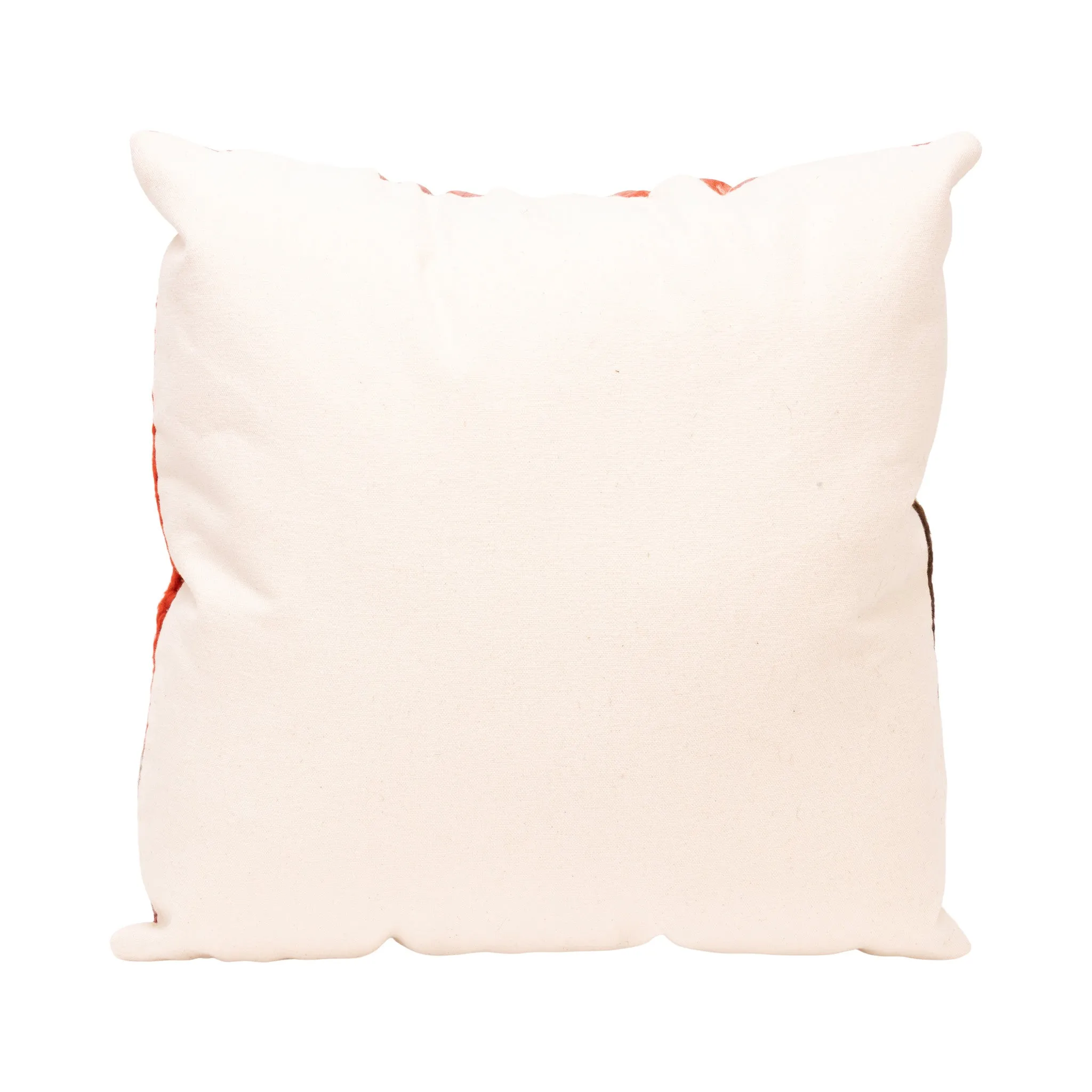 Native Lodge Pillow