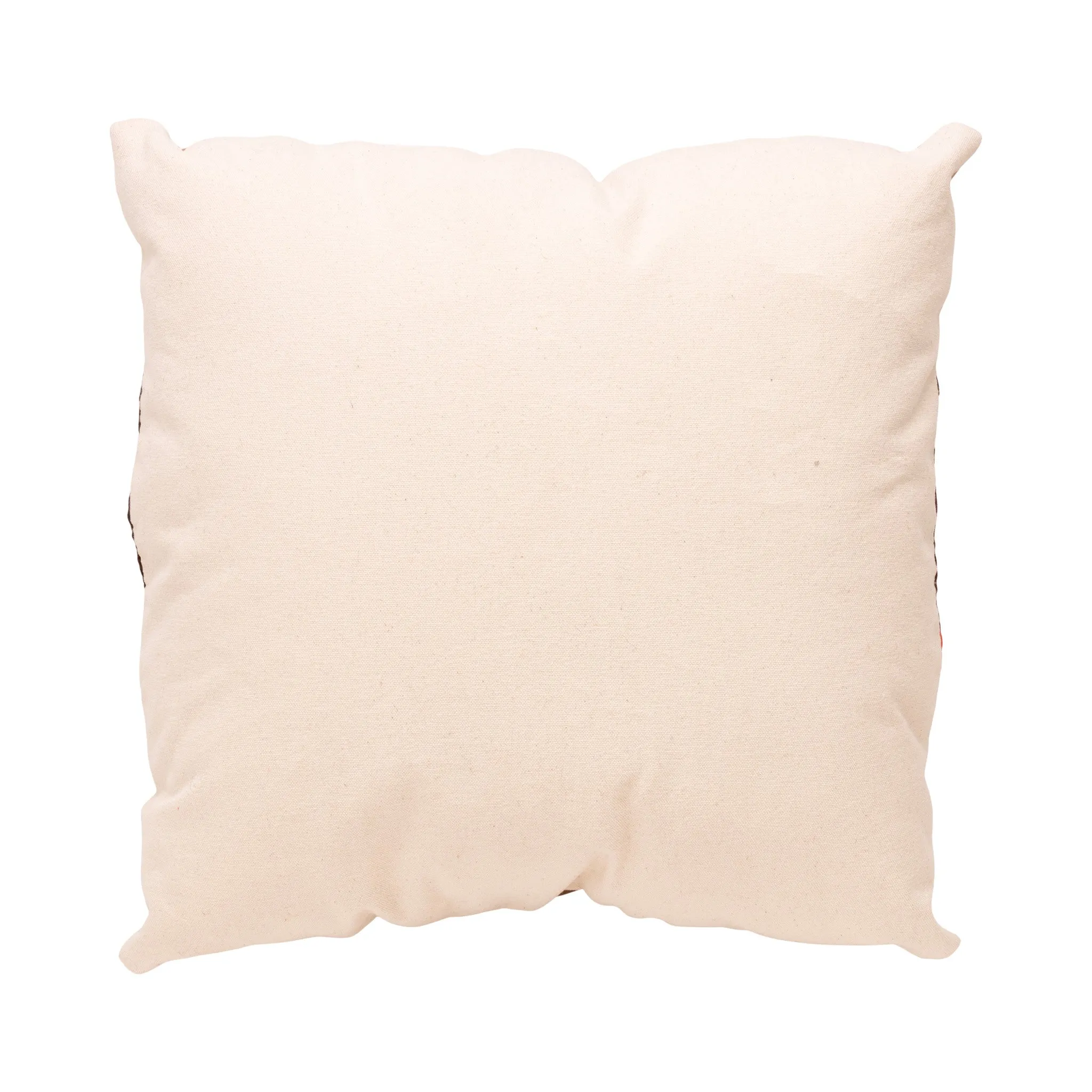 Native Lodge Pillow