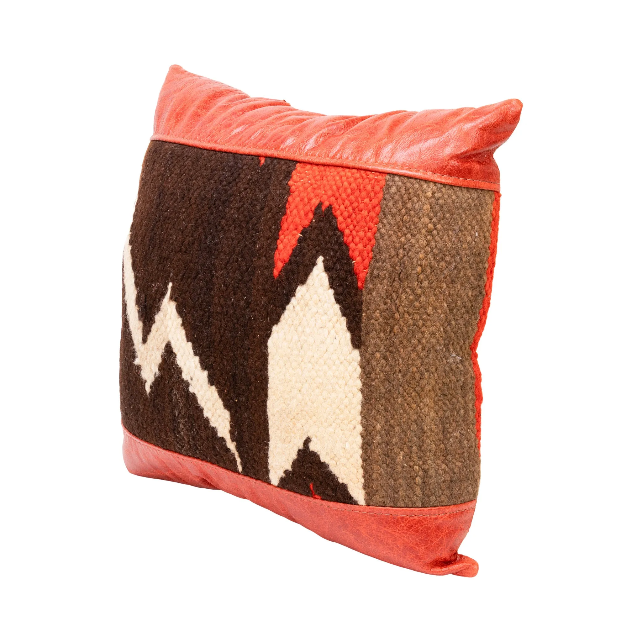 Native Lodge Pillow