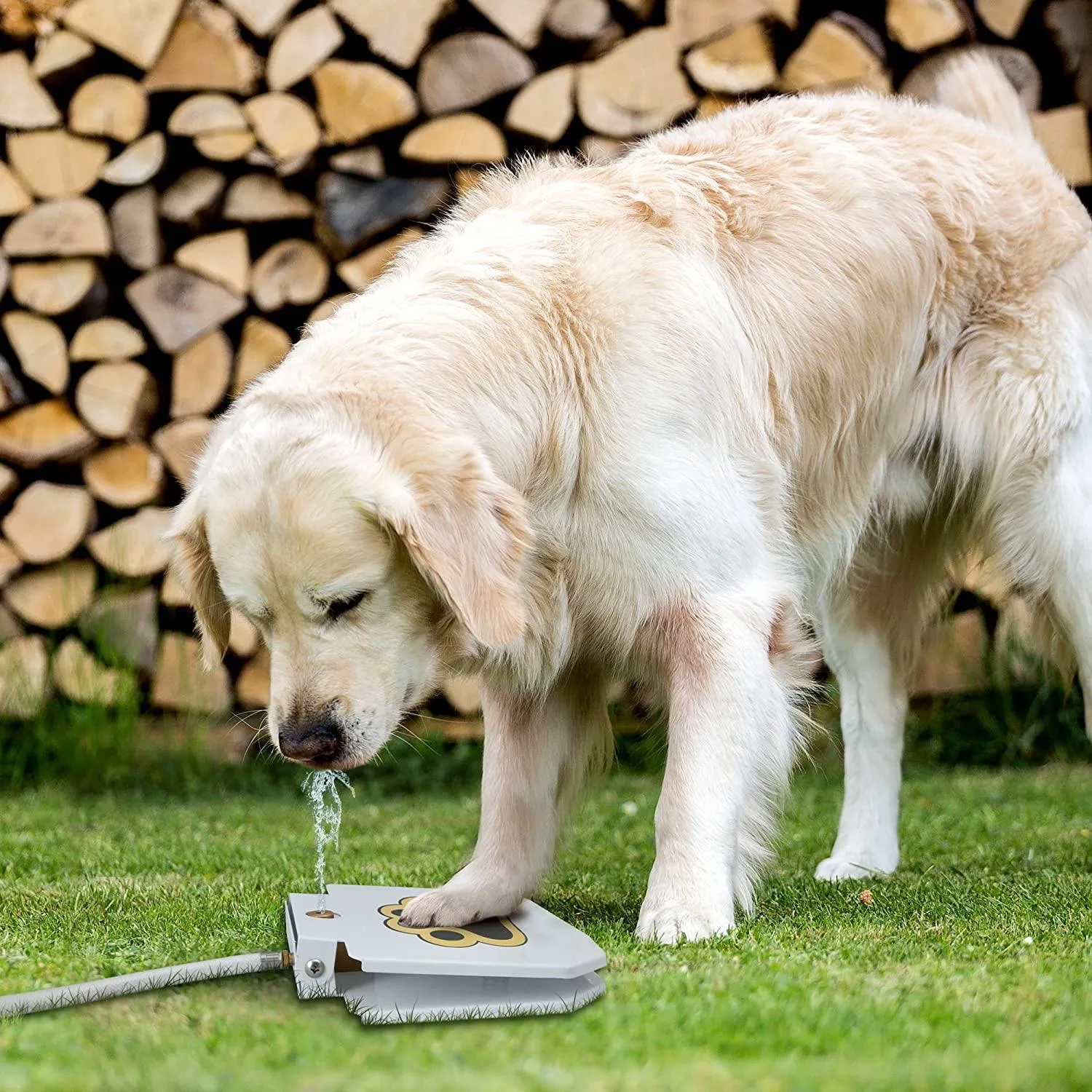 Outdoor Fresh Water Fountain | Easy Step On