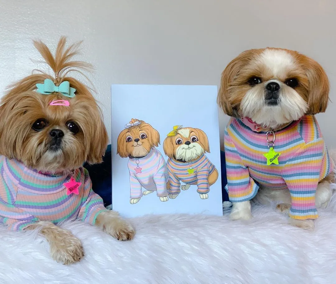 PetToonies Custom Canvas (3 Pets)