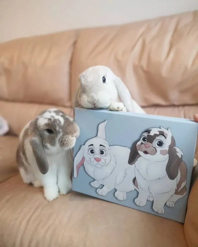 PetToonies Custom Canvas (3 Pets)