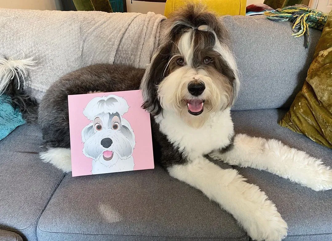 PetToonies Custom Canvas (3 Pets)