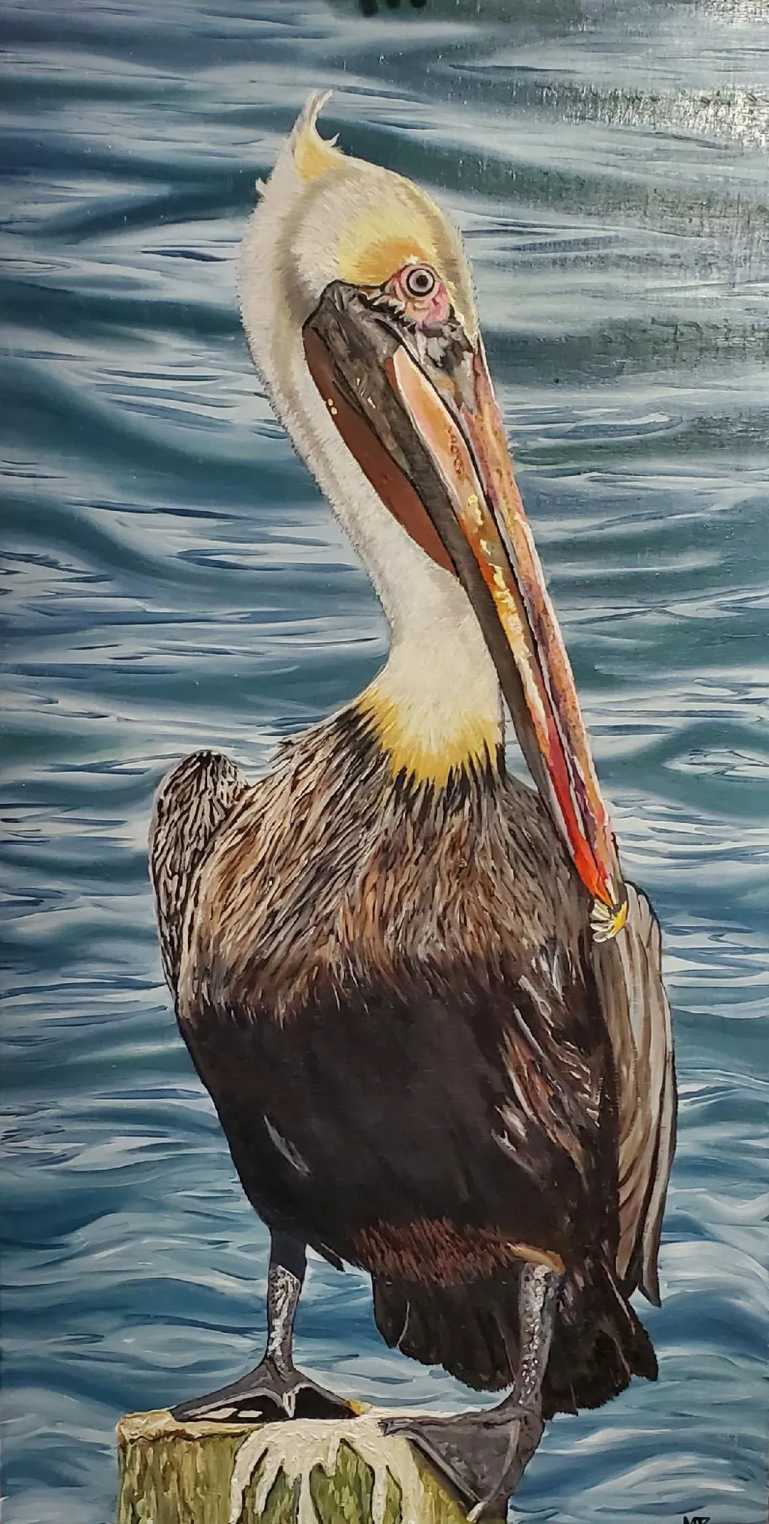 "Pelican" Oil on Linen Canvas (Commission) "SOLD"