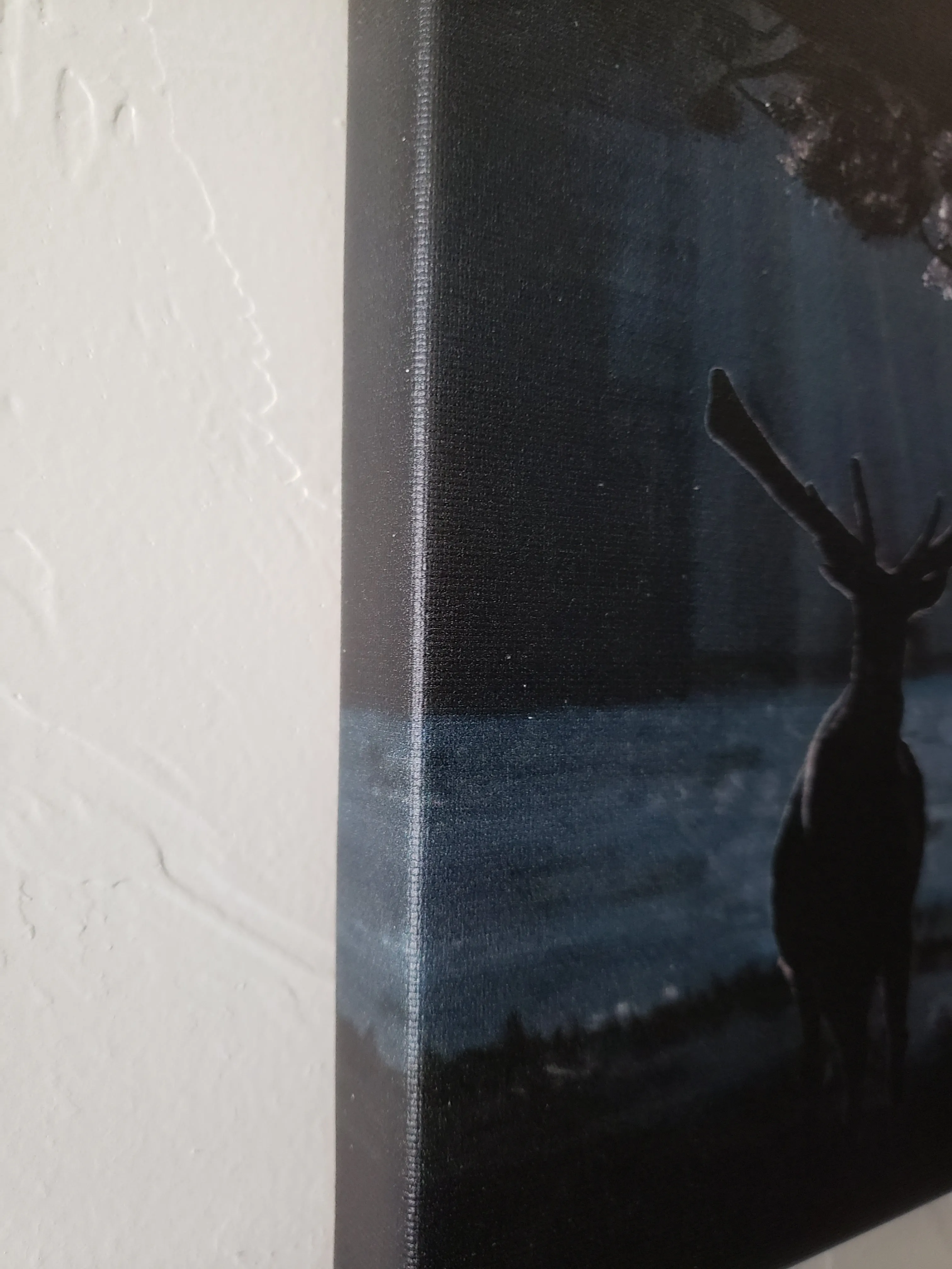 "Rays" Canvas Print