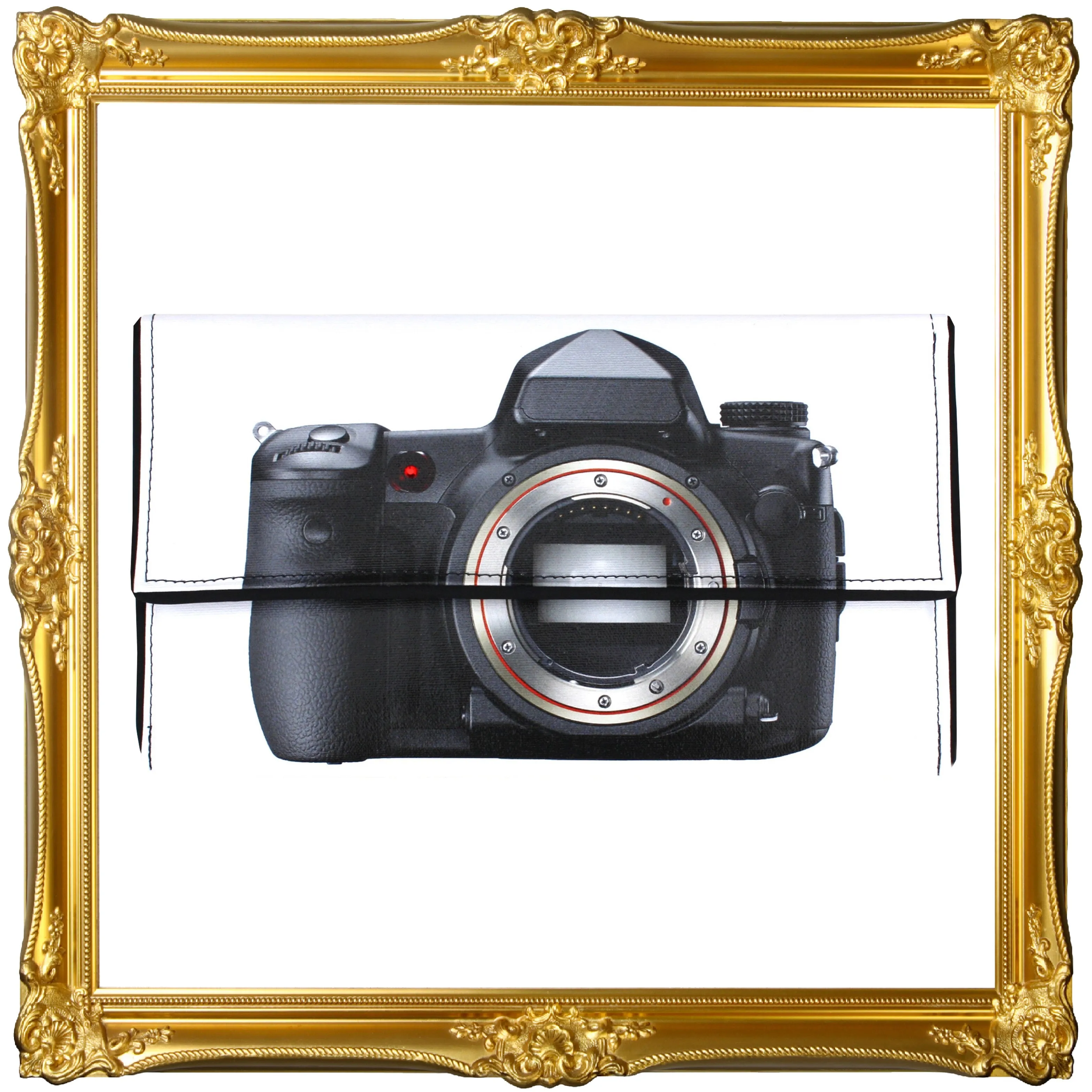Snapshot