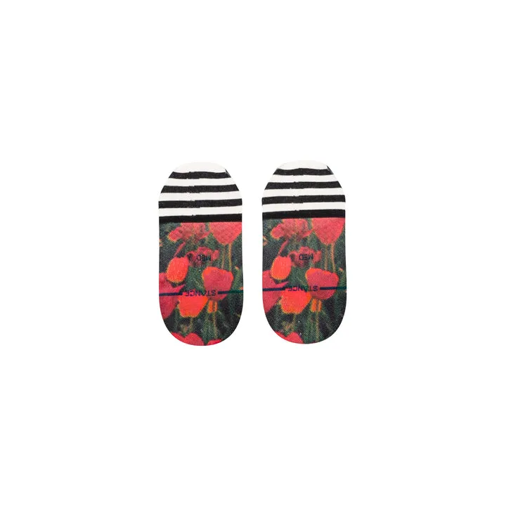 Women's Riso No Show Socks